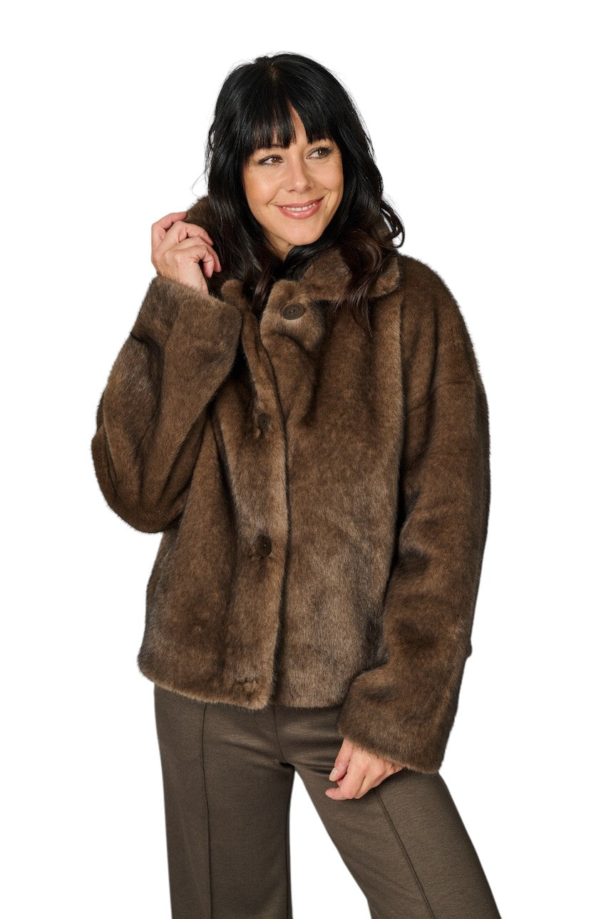 Hemisphere mantel jas dames bruin 252CAJET-34 Y702