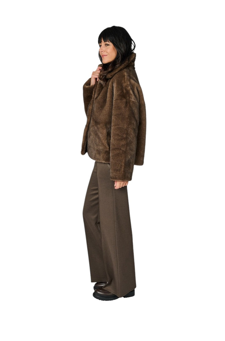 Hemisphere mantel jas dames bruin 252CAJET-34 Y702